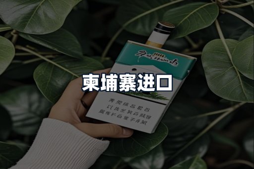 柬埔寨进口